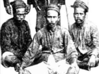 Saya, Orang Samin dan Bob Sadino