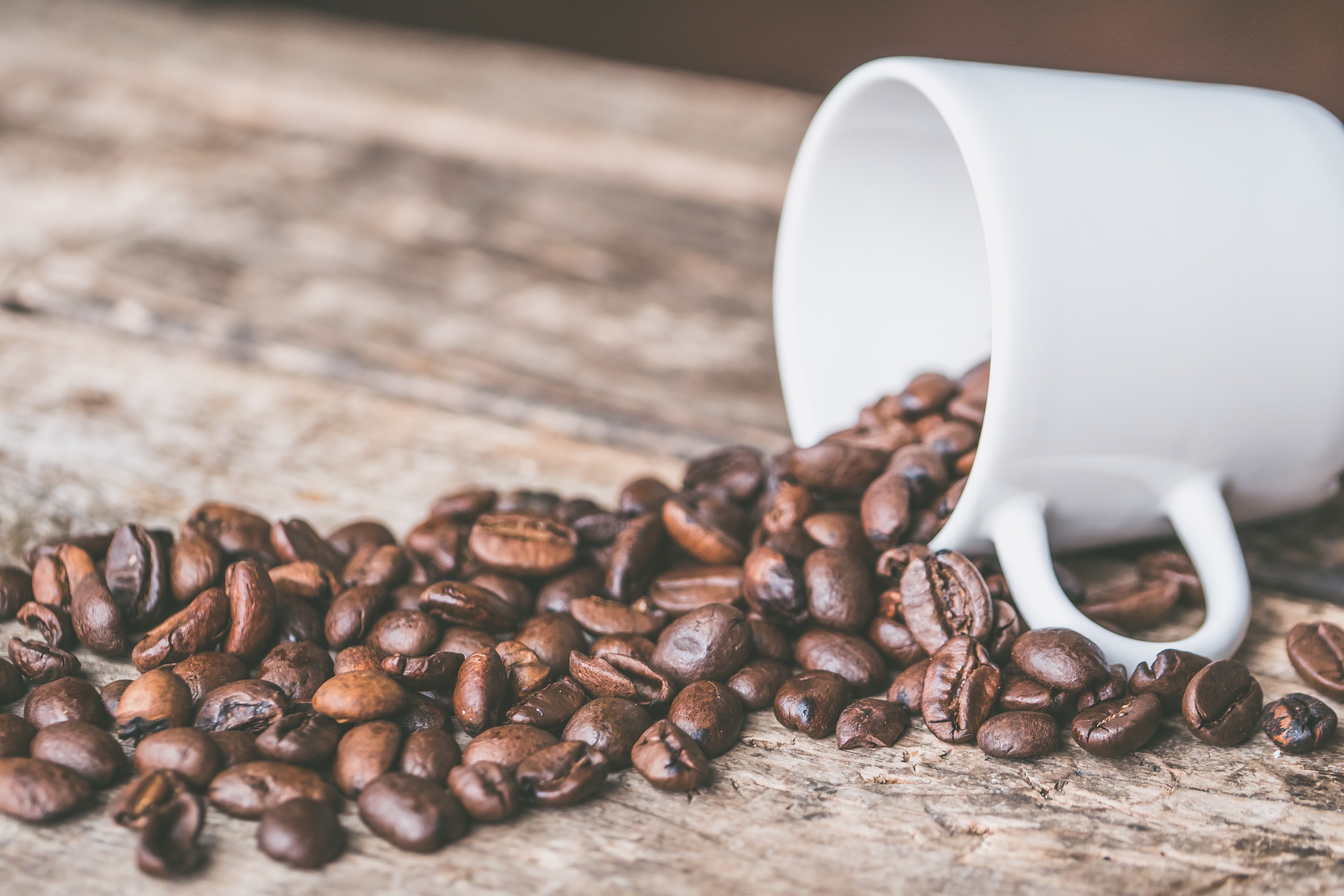 Bisnis Biji Kopi, Bisnis Yang Menjanjikan!